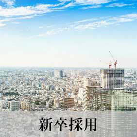新卒採用