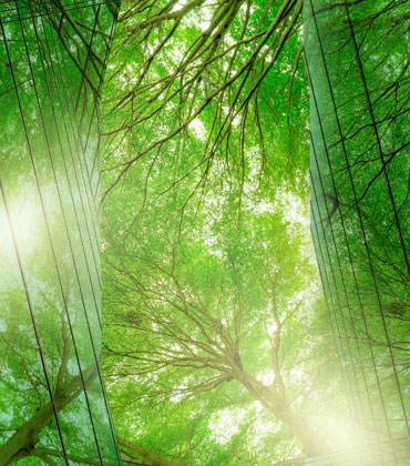 Environmental Policy